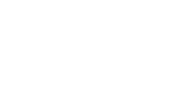 Liberty Puzzles